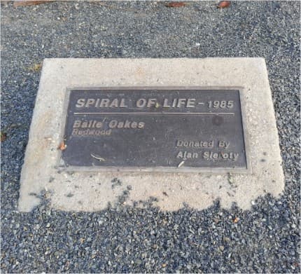Spiral of Life